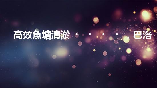 高效魚塘清淤，巴洛仕設備助力生態(tài)養(yǎng)殖